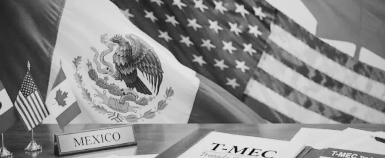 Antes de sentarse a revisar el T-MEC cada año, México necesita que el Senado le fije mandato y metas a la vista